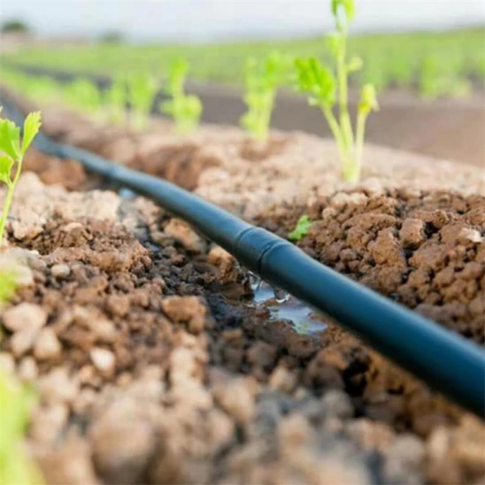 HDPE Drip Irrigation Pipe HDPE Drip Irrigation Pipe